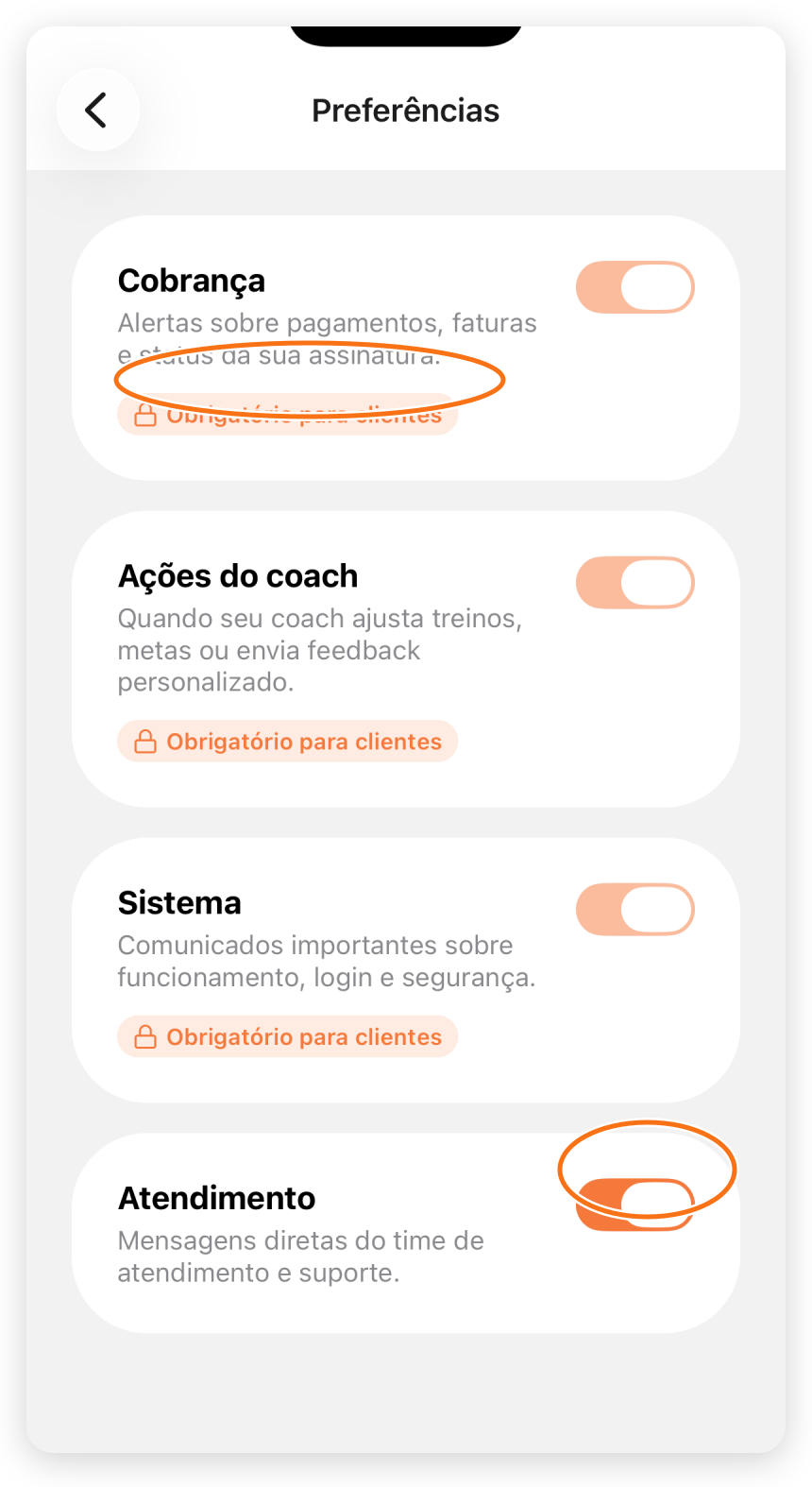 Preferências de notificação do aluno com três canais obrigatórios e o canal Atendimento opcional