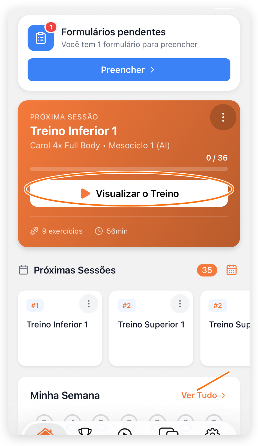 Tela inicial do aluno com formulário pendente, próxima sessão, sessões seguintes e resumo semanal