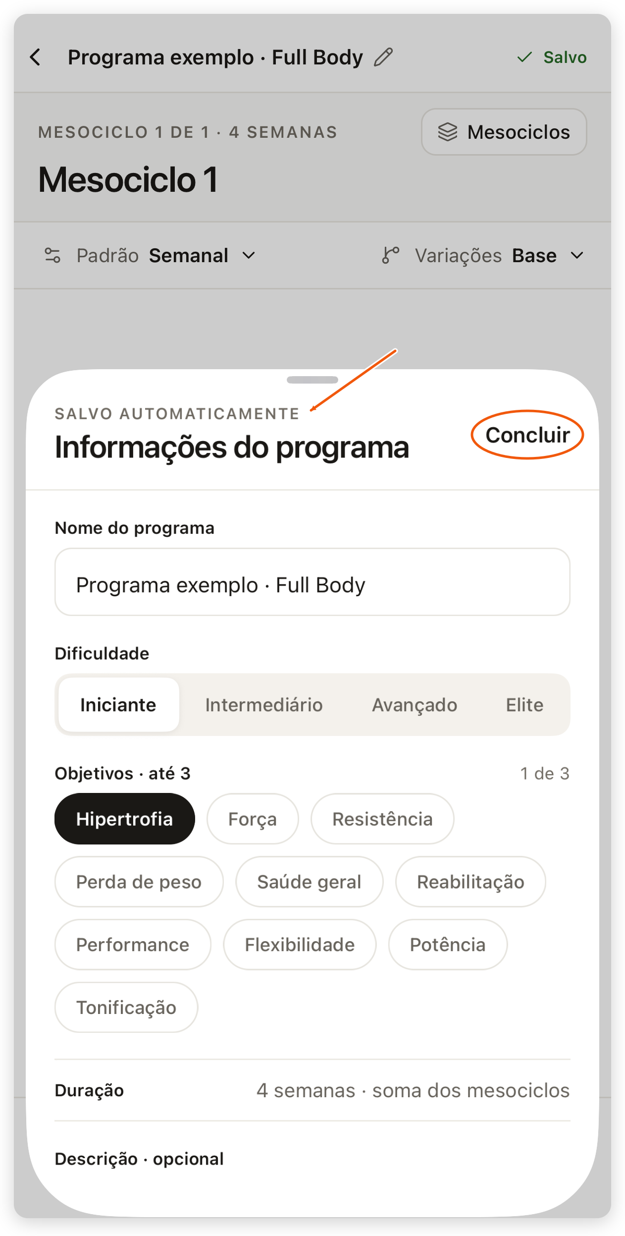 Informações do programa no app com nome preenchido, dificuldade Iniciante e o objetivo Hipertrofia marcado