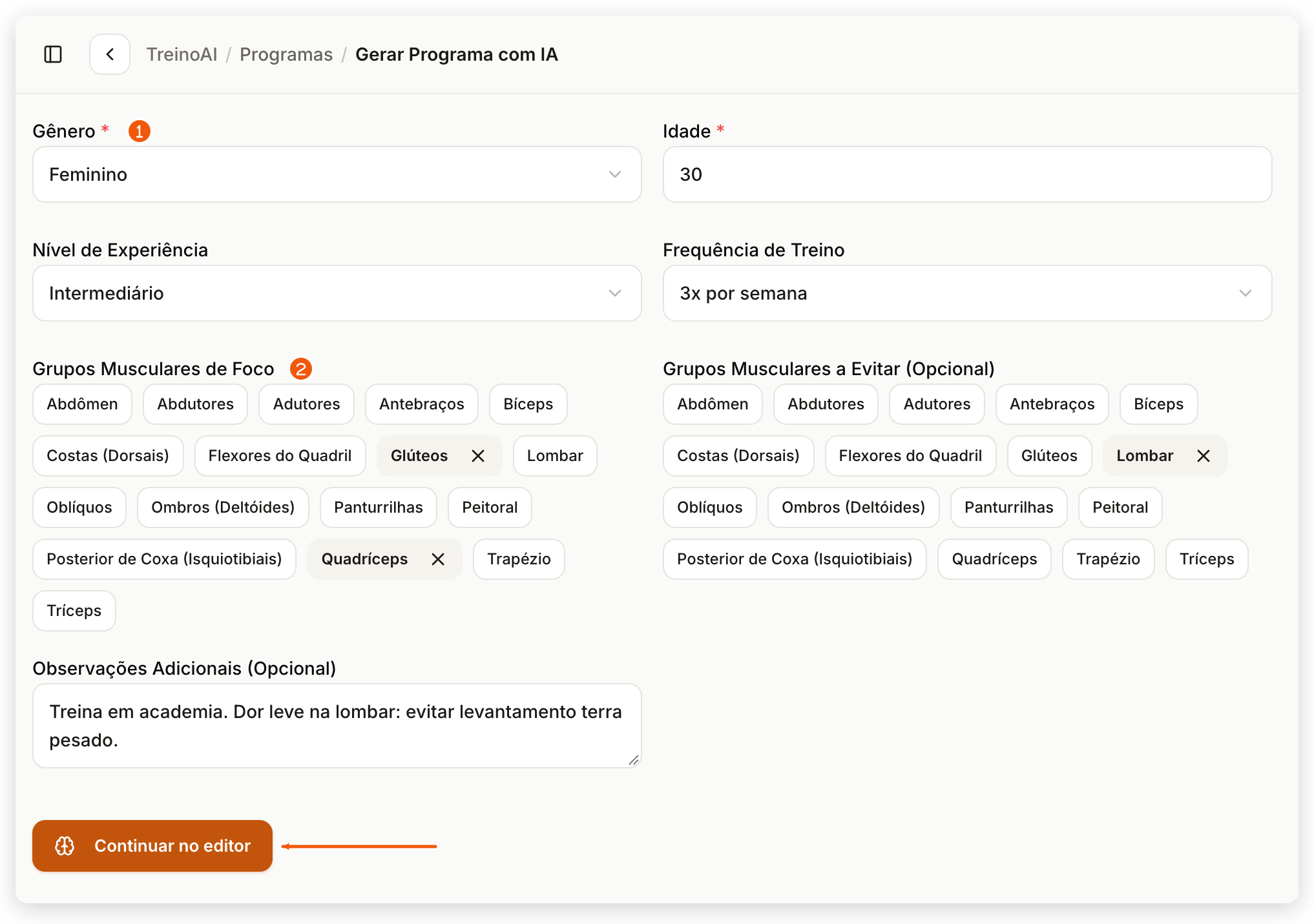 Formulário Gerar Programa com IA no painel web preenchido, com gênero, idade, grupos de foco e o botão Continuar no editor ativo