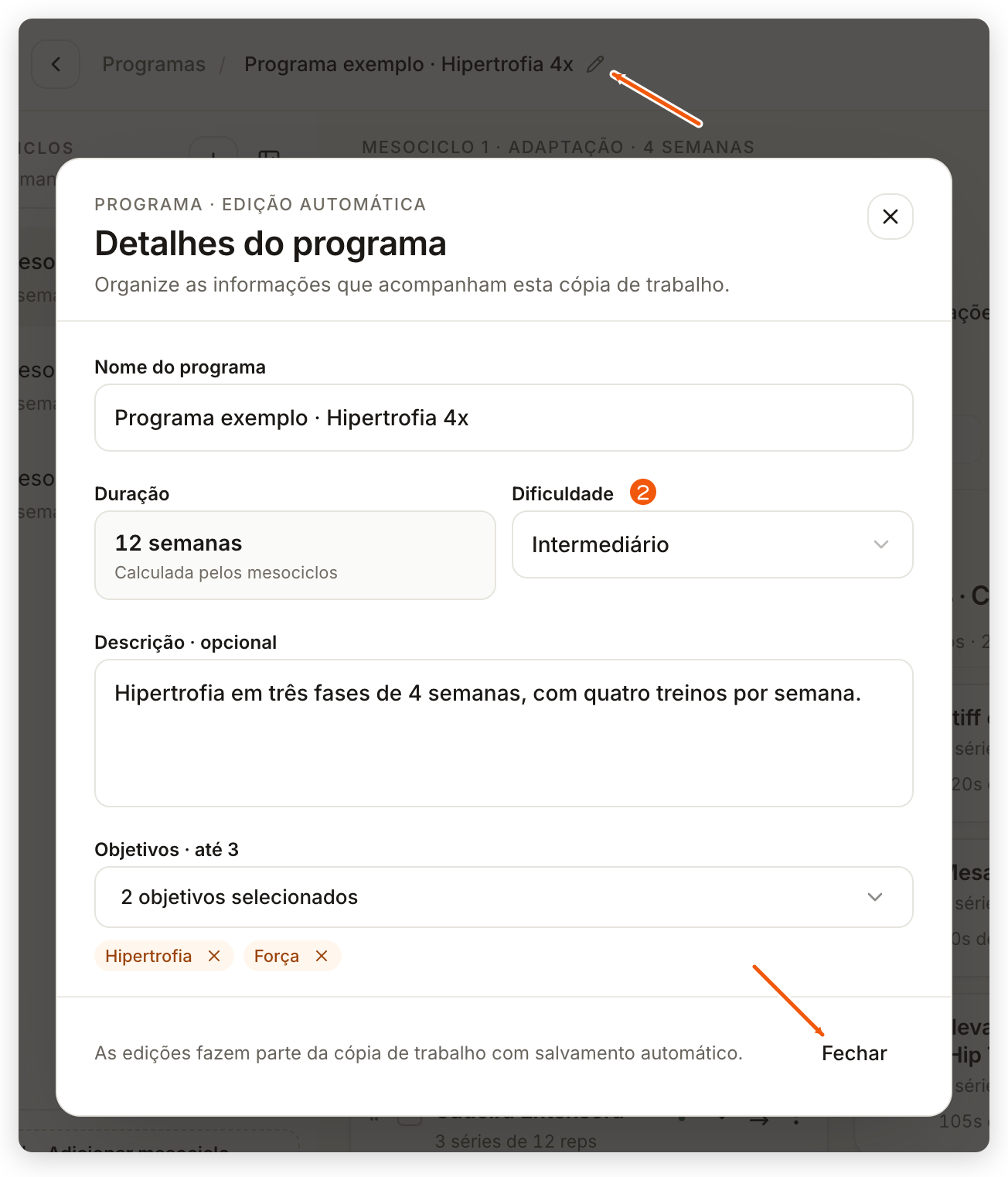Detalhes do programa no painel web com Nome do programa, Duração calculada pelos mesociclos, Dificuldade, Descrição e Objetivos