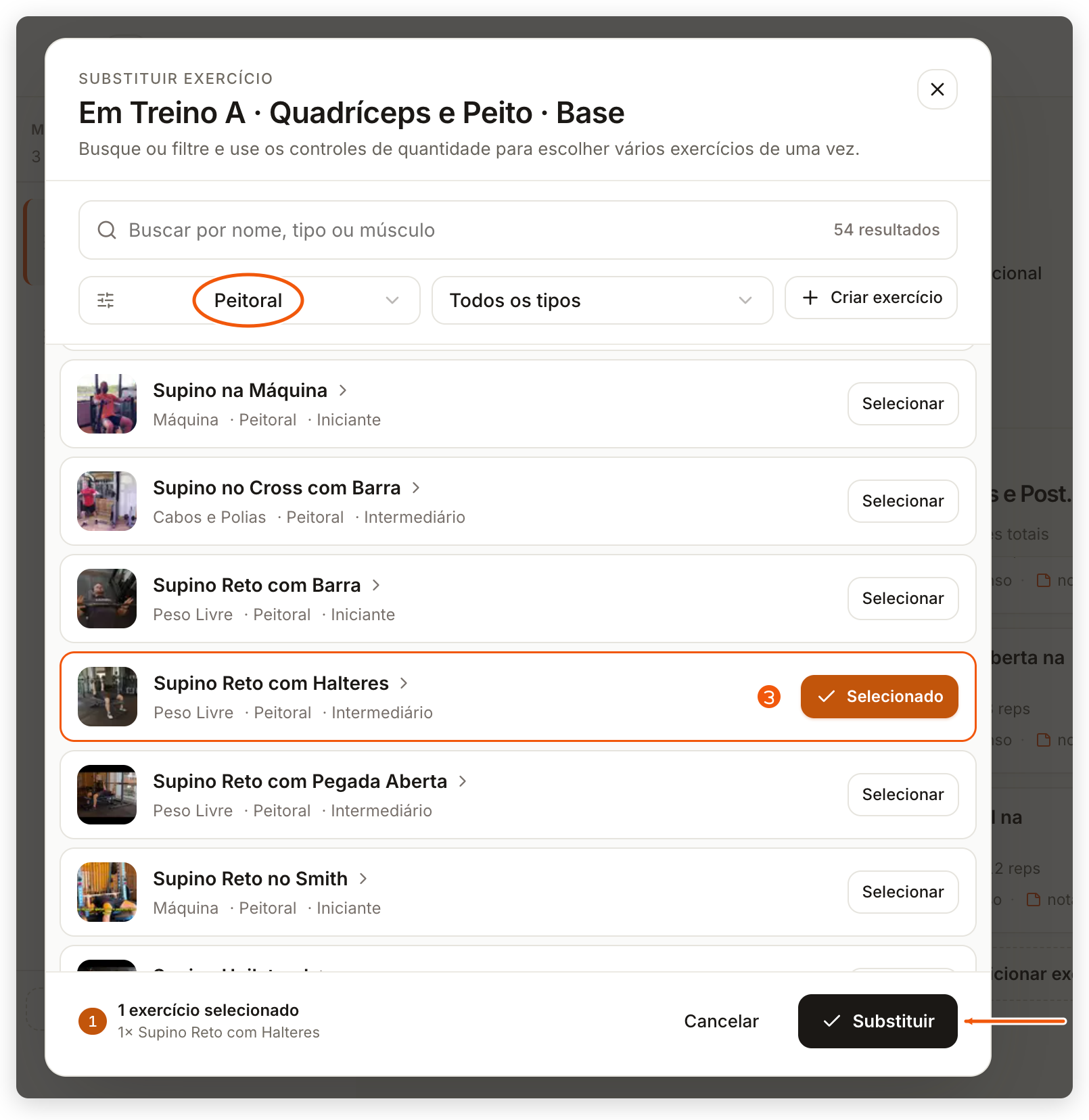 Substituir exercício no painel web, filtrado pelo grupo muscular do exercício atual, com um novo exercício selecionado e o botão Substituir