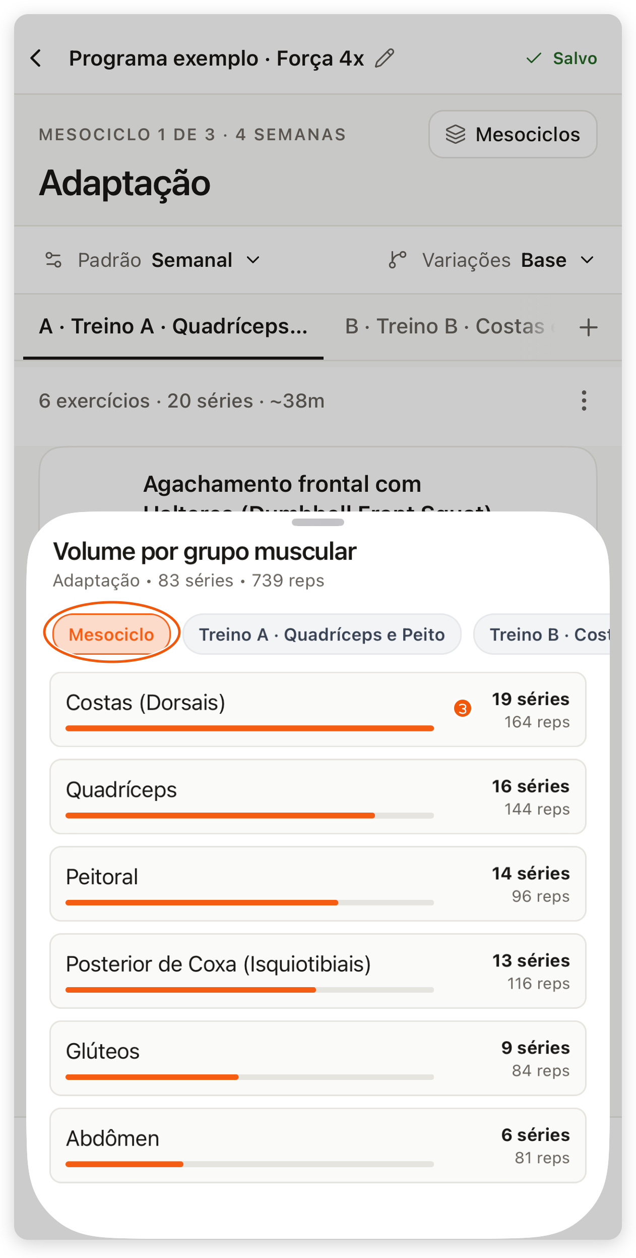 Volume por grupo muscular no app do treinador com o filtro Mesociclo e as séries e repetições de cada grupo