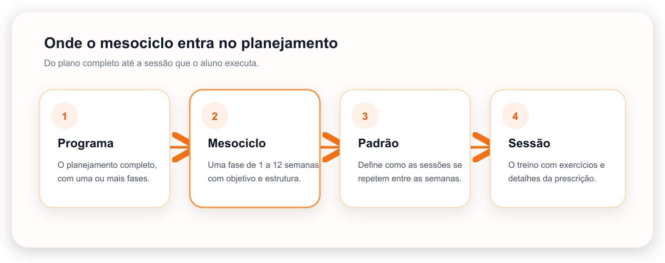 Relação entre programa, mesociclo, padrão semanal e sessões