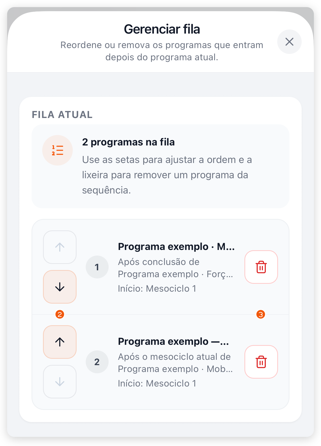 Tela Gerenciar fila no app com dois programas, setas para mudar a ordem e a lixeira de cada item