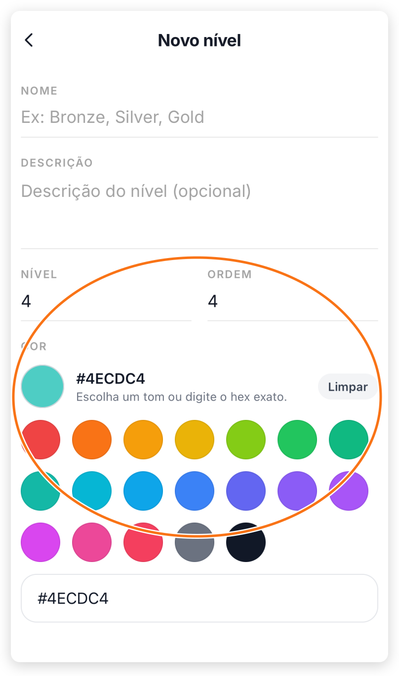Formulário de nível com nome, ordem e cor